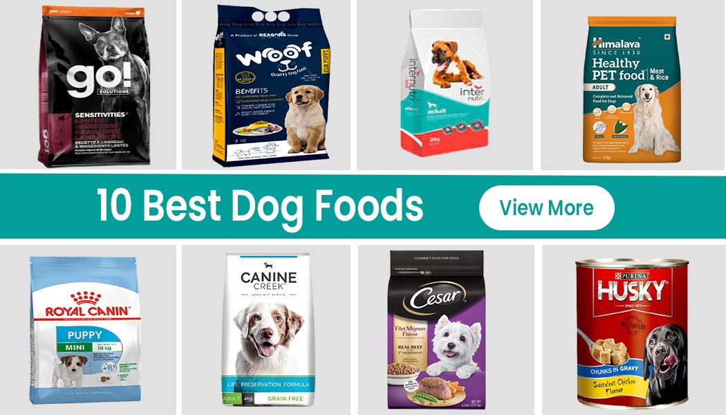 10 Good Dog Foods For the Better Health of Your Lovely Dogs